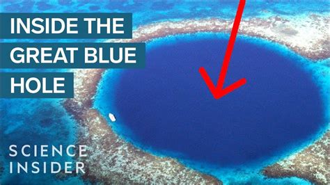 What's At The Bottom Of The Great Blue Hole? - YouTube | Great blue hole, Blue hole, Greatful