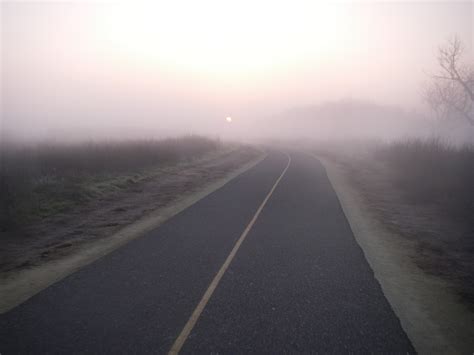 Velomento, California: Cycling in Dense Fog