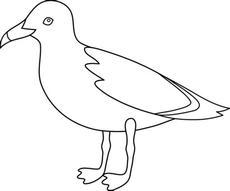 Seagull Outline - Free and Printable Templates for Your Projects