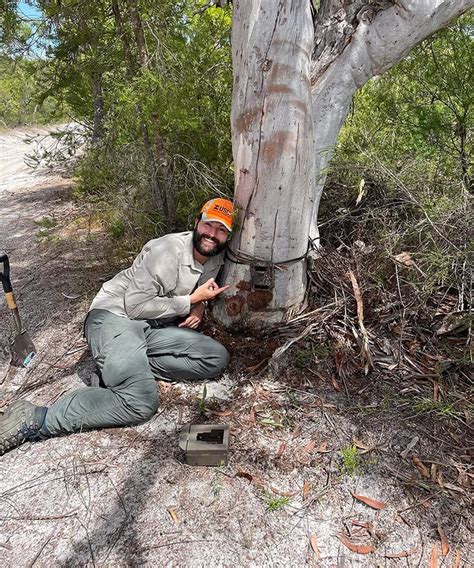 WildObs: Aus scientists plan huge database of animals snaps