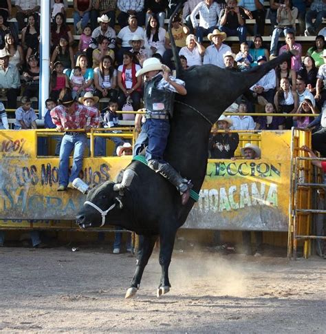 10 Best images about Jaripeo mi estilo... on Pinterest | Chihuahuas, Cowboys and Its always