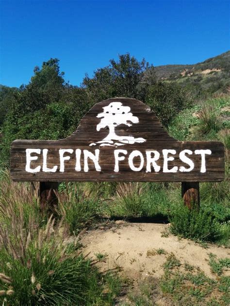 Elfin Forest Recreational Reserve Has The Most Otherworldly Hike In ...