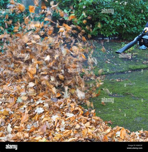 Blowing leaves hi-res stock photography and images - Alamy