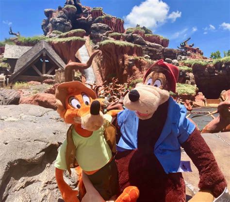 PHOTOS: New Brer Fox and Brer Bear Splash Mountain Plush Make Long-Awaited Plunge into the Briar ...