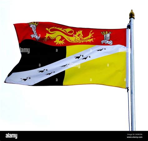 Norfolk County Flag, flying, flagpole, Norfolk, England, UK Stock Photo ...