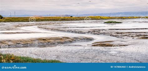 Tidal Marsh Landscape in South San Francisco Bay Area, Mountain View ...