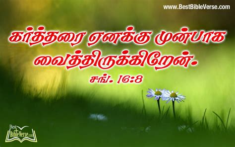 Tamil bible verse pictures - naxresh