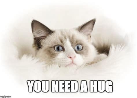 you need a hug - Imgflip