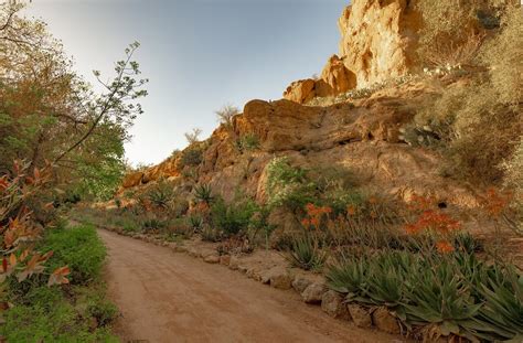 Boyce Thompson Arboretum - Arizona's oldest and largest botanical garden