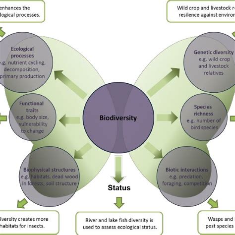 (PDF) Mapping and assessment of ecosystems and their services: An analytical framework for ...