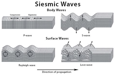 Seismic Waves: Definition, Types, Examples, and Diagram