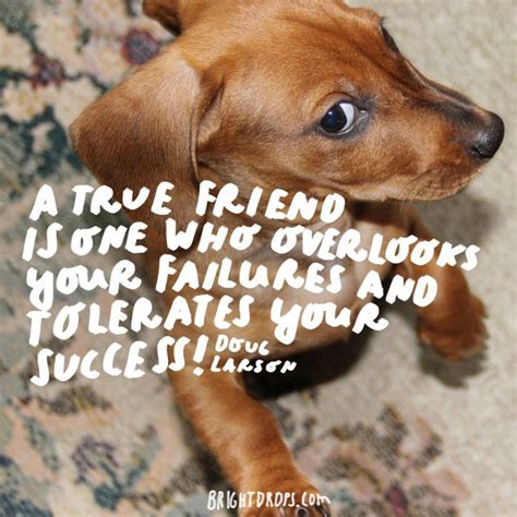 18 Funny Quotes to Send to Your Best Friend - Bright Drops