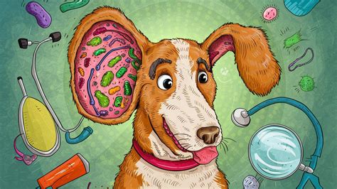 Floppy Follicle Fiasco: Decoding Dog Ear Infections - CAT HORSE DOG