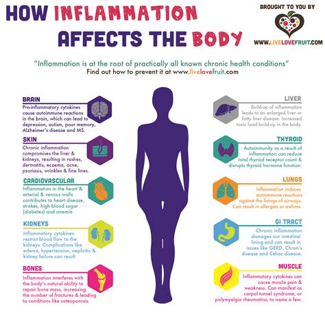 10 Ways Chronic Inflammation Affects Your Internal Organs, and What You Can Do About it | Body ...