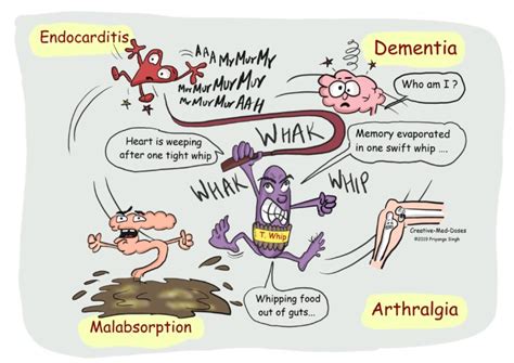 Whipple’s disease-Diarrhea with Dementia - Creative Med Doses