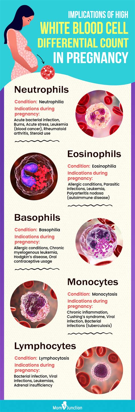 Low Lymphocytes And Eosinophils