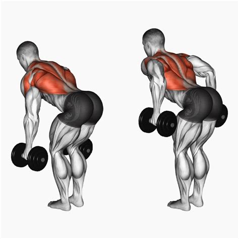 13 Dumbbell Lat Exercises to Beef Up Your Back Workout | Nutritioneering- Part 2