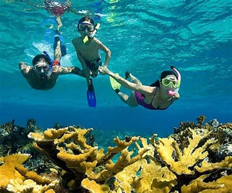 (2024 Promo) 10 TOP Pakej Snorkeling Pulau Mabul - HolidayGoGoGo