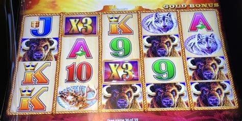 All About the Buffalo Slot Machine Series – Know Your Slots