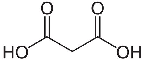 Difference Between Malonic Acid and Succinic Acid | Compare the ...