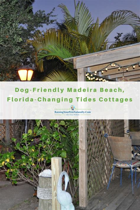 Pet Friendly, Dog Friendly Hotels: Dog-Friendly Madeira Beach, Florida-Changing Tides