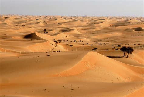 Thanks to Climate Change, the Sahara is Inching South | NOVA | PBS