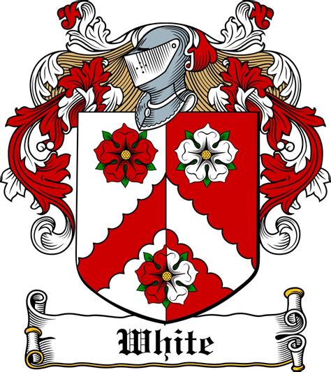 White Family Crest / Irish Coat of Arms Image Download - Download F...