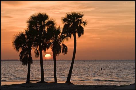 Tampa Bay sunrise | Sun rising over Tampa Bay from North Sho… | Flickr