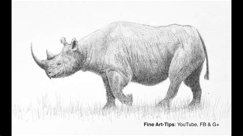 How to Draw a Realistic Rhino - Narrated - YouTube