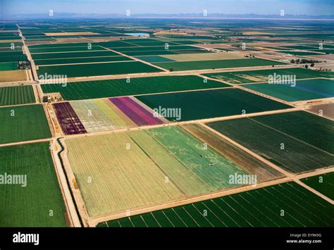 Agriculture - Aerial view of cultivated farmland of various crops Stock Photo, Royalty Free ...