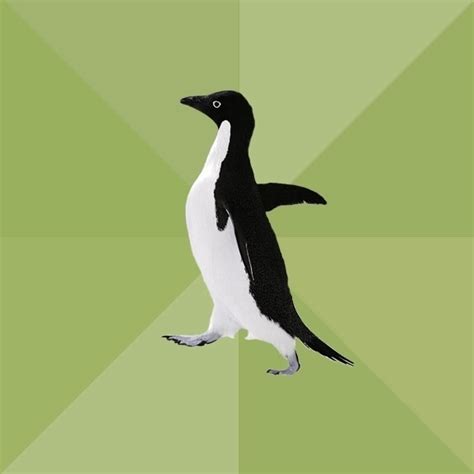 Socially Average Penguin Blank Template - Imgflip