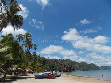 Fotos y Paisajes de Venezuela: Playa Medina