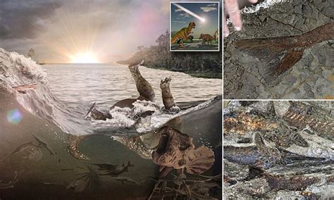 The deathbed of the dinosaurs: Dig uncovers 66 million-year-old 'fossilized graveyard' | Daily ...