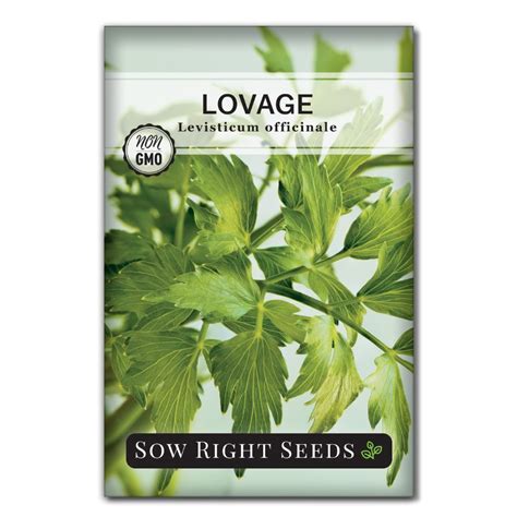 Lovage Seeds | Try a Use for Every Part of This Entirely Edible Herb – Sow Right Seeds