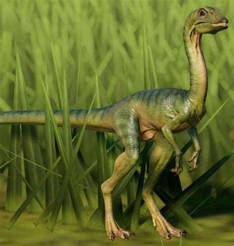 compsognathus - Google Search | Jurassic world dinosaurs, Jurassic park ...