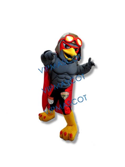 College Falcon Mascot Costume