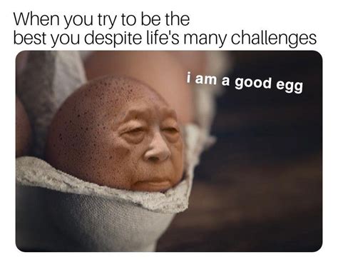 I present to you the wholesome good egg meme :) | Egg meme, Memes ...