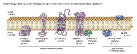 Solved What strategy would you employ to isolate integral | Chegg.com