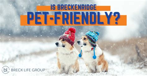 Is Breckenridge Pet-Friendly? Activities, Lodging & More