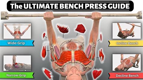 Decline Press Muscles Worked