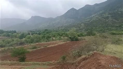 134 Acres agriculture land sale in theni district... pannaipuram near ...