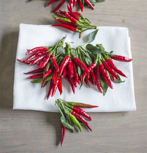 Thai Pepper: Many Types and Heat Levels - Chili Pepper Madness