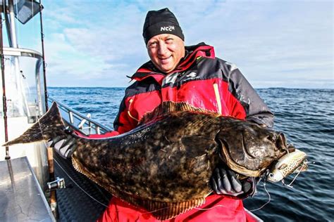 Atlantic Halibut: Species Spotlight | Fishing Holidays | Sportquest Holidays