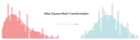 Square Root Transformation: A Beginner’s Guide – QUANTIFYING HEALTH