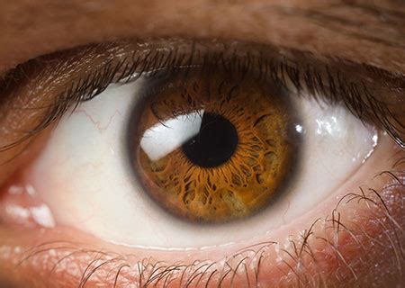 Your Eye Colour Can Reveal Health Risks - Health & Wellness - Spec ...