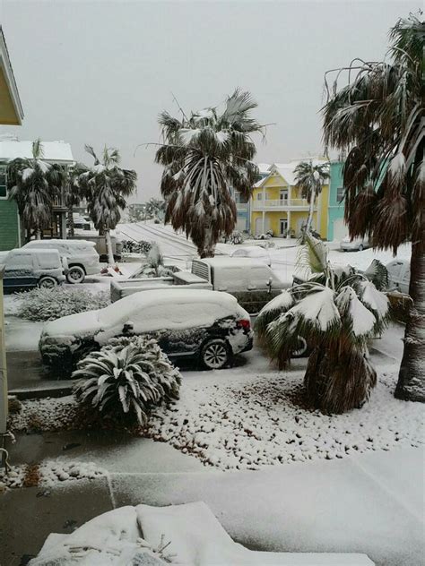 South Texas Snowstorm - December 7-8, 2017