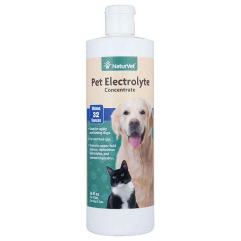 Diy Electrolytes For Dogs - Do It Your Self