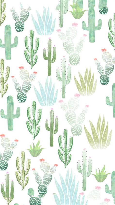 Aesthetic Cactus Wallpapers - Wallpaper Cave