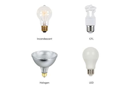 Types of Lightbulbs: How to Choose the Right One | Wayfair