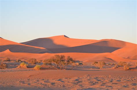 Desert Sand Under Clear Sky · Free Stock Photo